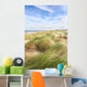 Dunes and the beach in spring Wall Mural