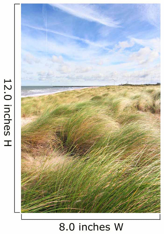 Dunes and the beach in spring Wall Mural