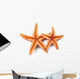 Starfish on White Background 