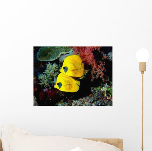 Fish Wall Decal Design 1