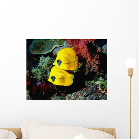 Fish Wall Decal Design 1