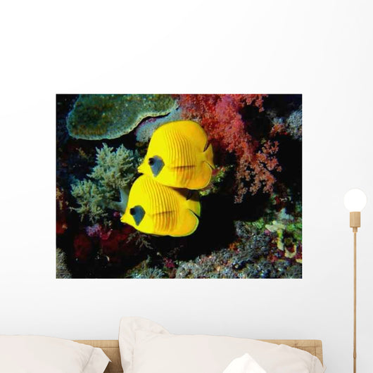 Fish Wall Decal Design 1