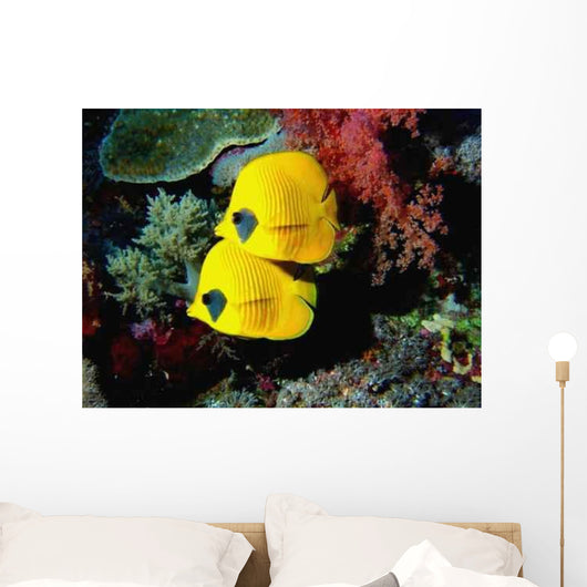 Fish Wall Decal Design 1