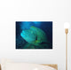 Poisson Napoleon Wall Decal Design 2