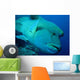 Poisson Napoleon Wall Decal Design 1