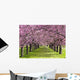 Sakura Wall Mural