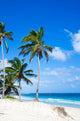 Caribbean Beach Wall Mural
