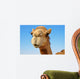 Close-up of a camel 