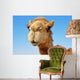 Close-up of a camel 