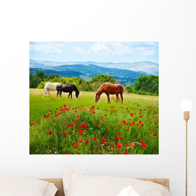 There Horses Grazing Grass Wall Mural shown on a wall