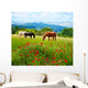 There horses grazing grass Wall Mural