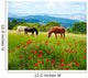 There horses grazing grass Wall Mural