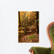 Autumnal Beech Forest Wall Mural