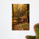 Autumnal Beech Forest Wall Mural