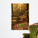 Autumnal Beech Forest Wall Mural