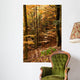 Autumnal Beech Forest Wall Mural