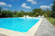 Swimming Pool Wall Decal