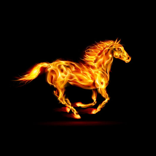 Fire horse. Wall Decal