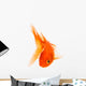 Goldfish 