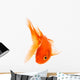 Goldfish 