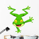 Funny Frog Cartoon Standing on Its Hand 