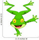 Funny Frog Cartoon Standing on Its Hand 
