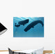 Sperm Whale Encounter 