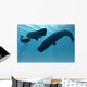 Sperm Whale Encounter 