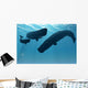 Sperm Whale Encounter 