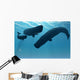Sperm Whale Encounter 