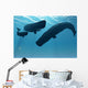 Sperm Whale Encounter 