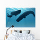 Sperm Whale Encounter 
