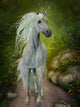 White Unicorn 