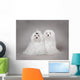 Two Maltese Dog Wall Mural