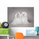 Two Maltese Dog Wall Mural
