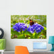  Purple Hortensia flowers and butterfly. Wall Mural