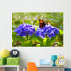 Purple Hortensia flowers and butterfly. Wall Mural