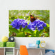  Purple Hortensia flowers and butterfly. Wall Mural