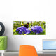  Purple Hortensia flowers and butterfly. Wall Mural