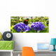  Purple Hortensia flowers and butterfly. Wall Mural