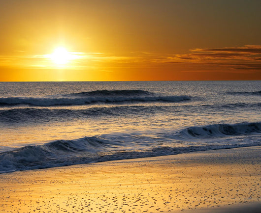 Picture of Ocean Water Sand and Sun Wall Mural