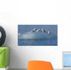 Kittwake Birds Diving and Wall Decal