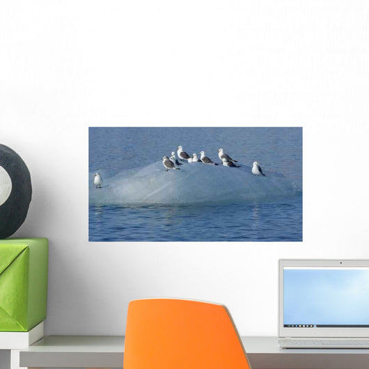 Kittwake Birds Diving and Wall Decal