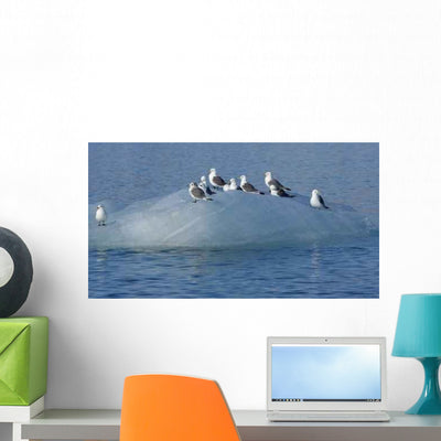 Kittwake Birds Diving and Wall Decal shown on a wall