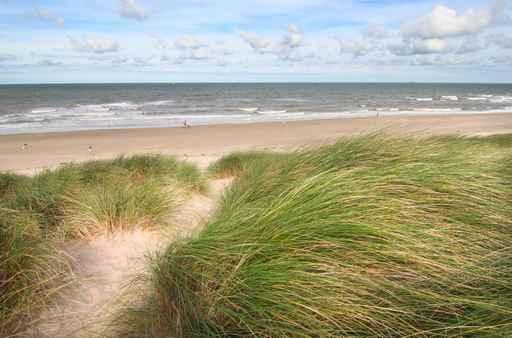 Dunes and Beach Spring Wall Decal