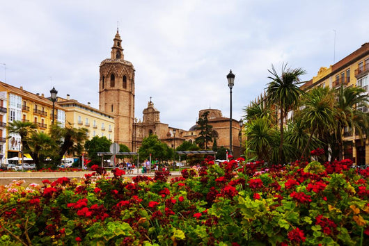 Plaza de la Reina and Micalet tower and Cathedral in Valencia Wall Mural
