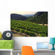 Grapes Growing Cote Du Wall Decal Design 1