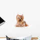Yorkshire Terrier Yorkie Wall Decal