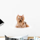 Yorkshire Terrier Yorkie Wall Decal