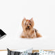 Yorkshire Terrier Yorkie Wall Decal